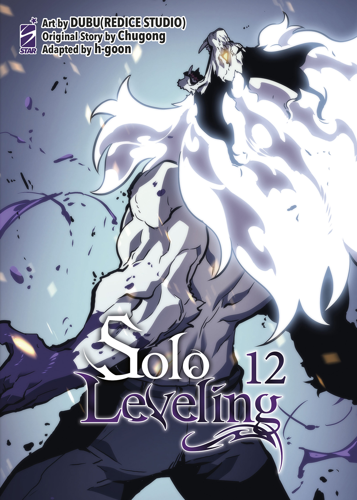 SOLO LEVELING #12