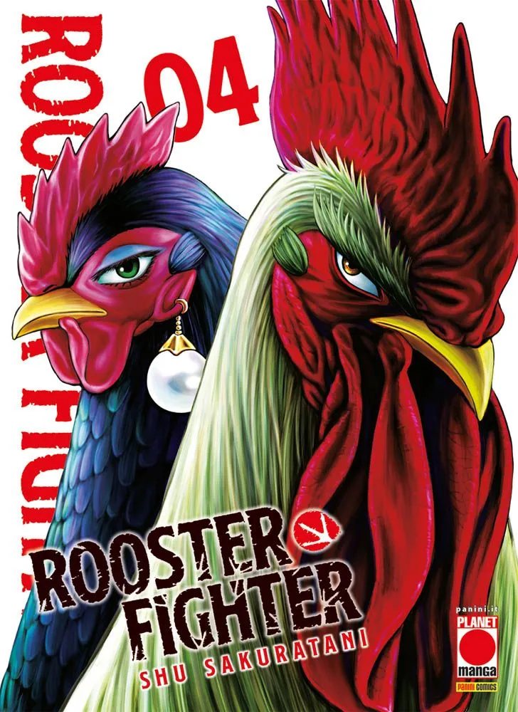 Rooster Fighter #4