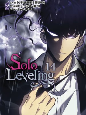 SOLO LEVELING n. 14