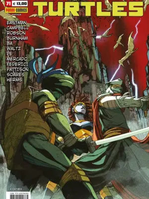 Teenage Mutant Ninja Turtles 71