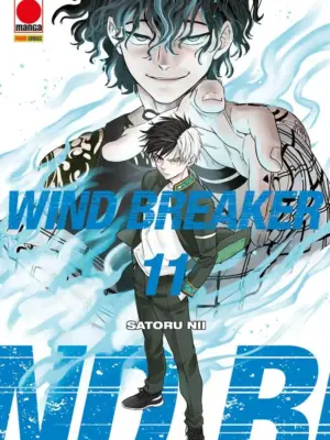 Wind Breaker 11