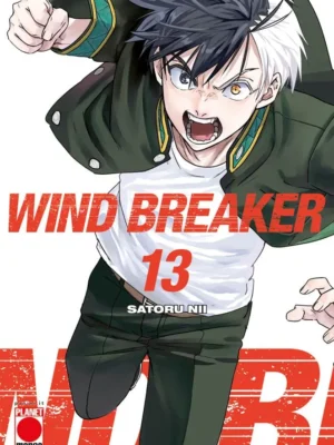 Wind Breaker 13