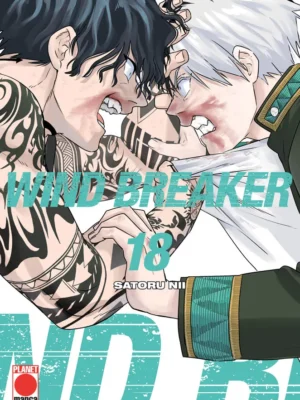 Wind Breaker 18