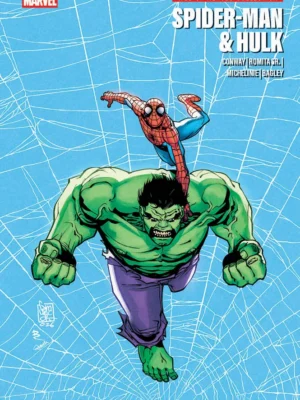 Web Of Heroes Collection Spider-Man & Hulk